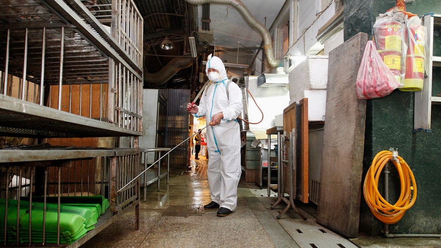 China bird flu spray Reuters.jpg